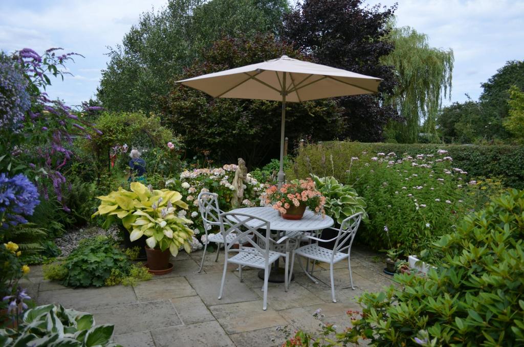 garden patio area